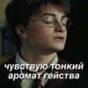 Я читаю порно