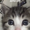 Плачущий мальчик