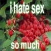 Sexy suchka